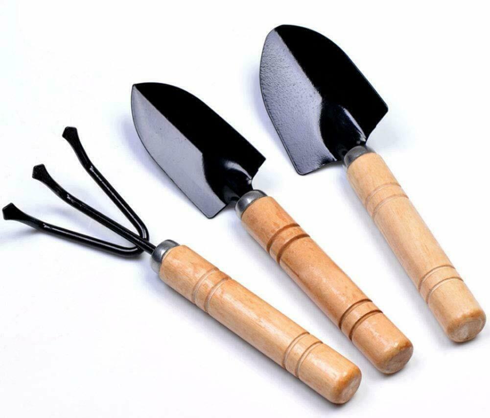 Mini Wood Handled 3-Piece Gardening Tool Set