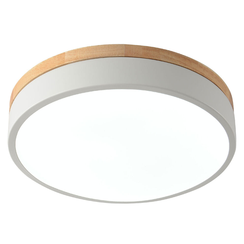 Modern Simple LED Ceiling Light