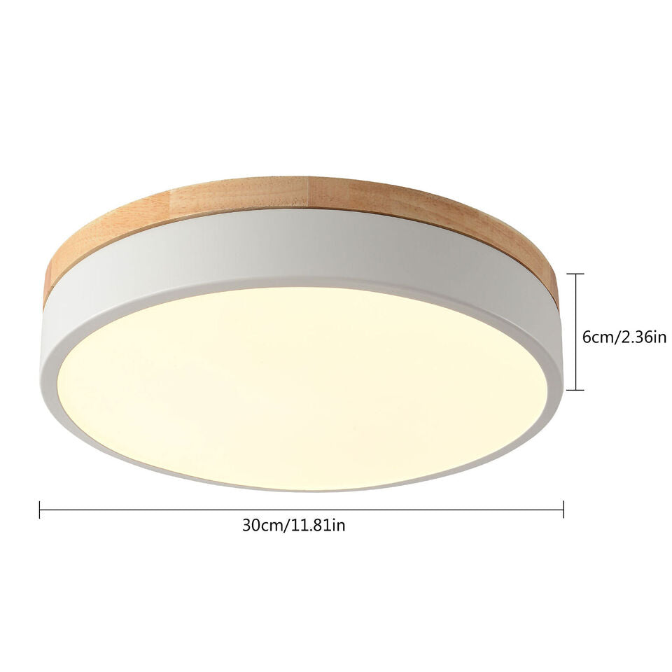 Modern Simple LED Ceiling Light