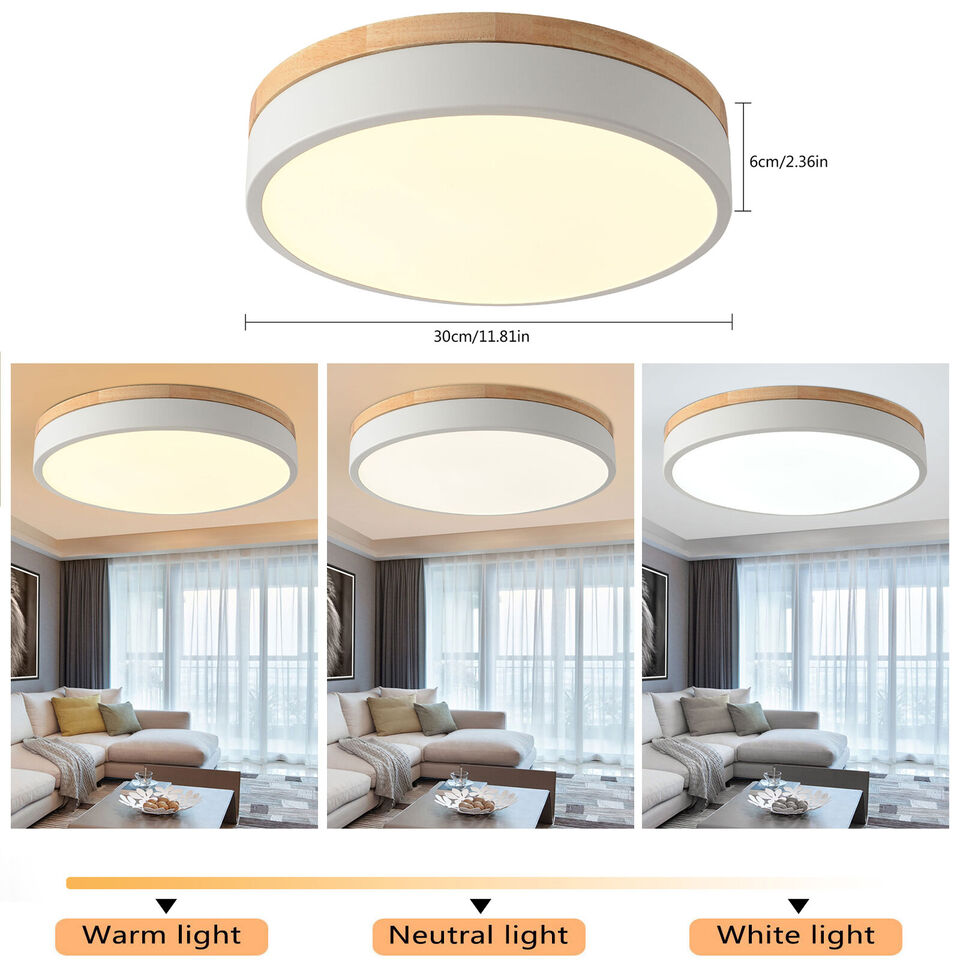 Modern Simple LED Ceiling Light