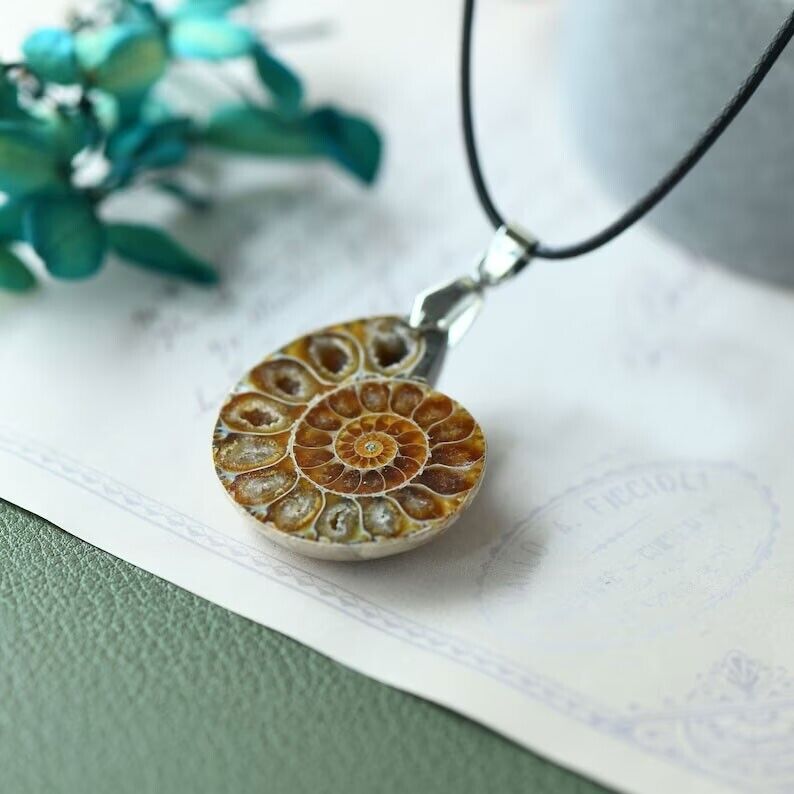 Real Ammonite Fossil Shell Necklace