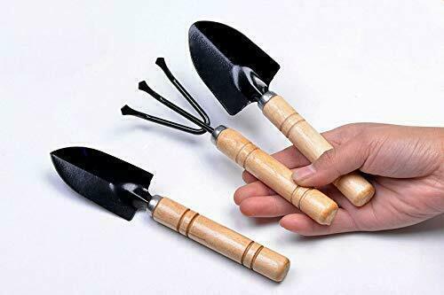 Mini Wood Handled 3-Piece Gardening Tool Set